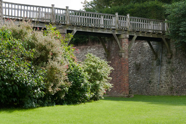 Similar image 331145