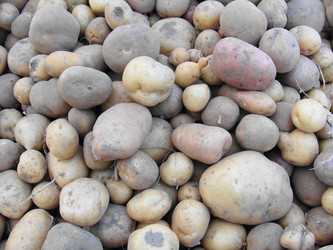 Similar image 331226