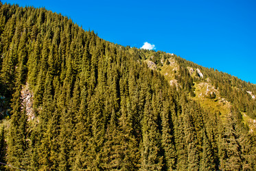 Similar image 331272