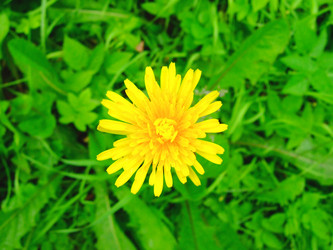 Similar image 331293