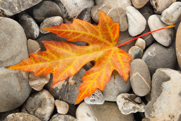 Similar image 331311