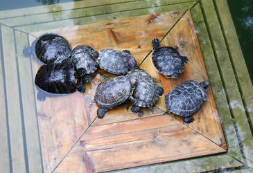 Similar image 331331