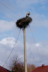 Similar image 331343