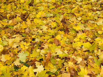 Similar image 331344