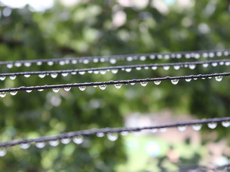 Similar image 331570