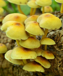 Similar image 331765