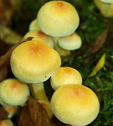 Similar image 331767