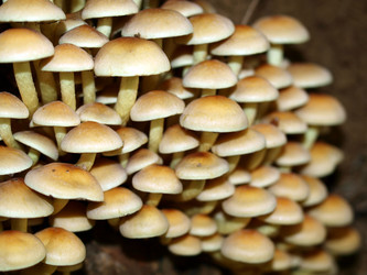 Similar image 331768