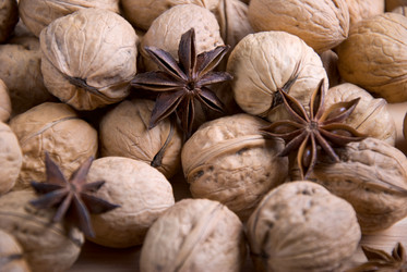 Similar image 331820