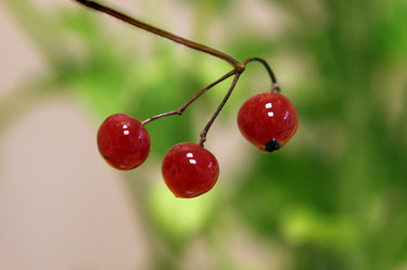 Similar image 331970