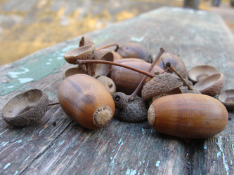 Similar image 331978