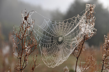 Similar image 331979