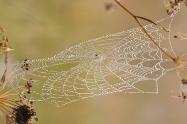 Similar image 331980