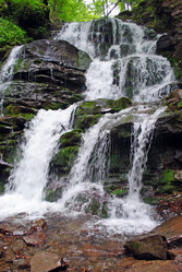 Similar image 331987