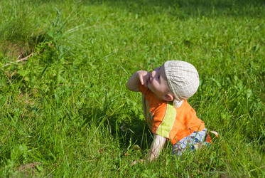 Similar image 331996