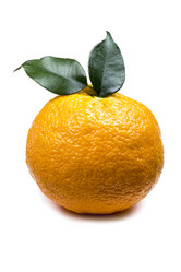 Similar image 332001