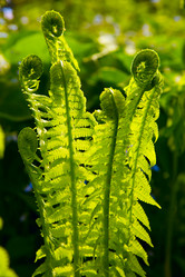 Similar image 332029