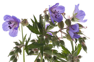 Similar image 332030