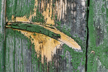 Similar image 332049