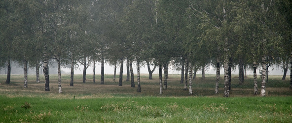 Similar image 332053