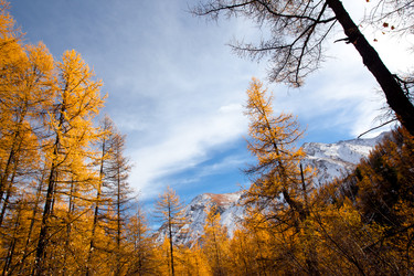 Similar image 332067