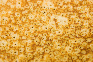 Similar image 332192