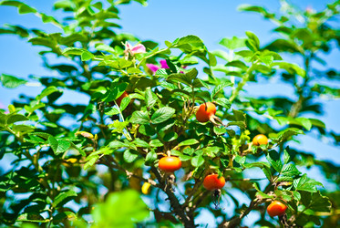 Similar image 332196