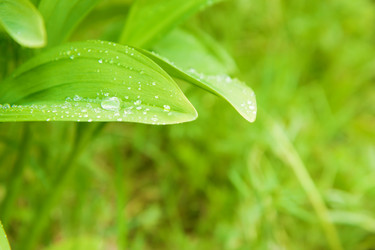 Similar image 332199