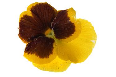 Similar image 332499