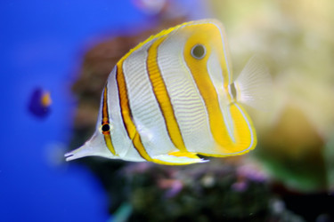 Similar image 332615