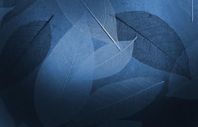 Similar image 332658