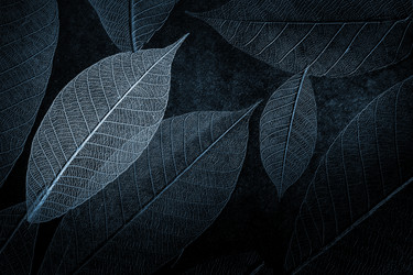 Similar image 332659