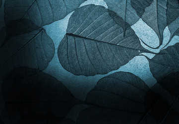 Similar image 332660