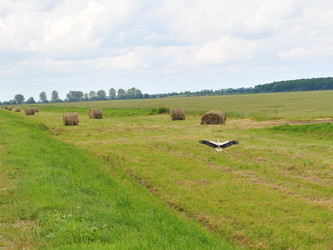 Similar image 332826