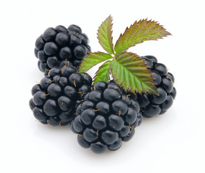 Similar image 333035