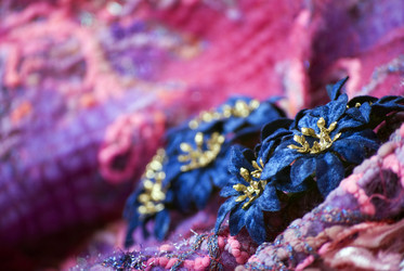 Similar image 333076