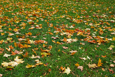 Similar image 333212