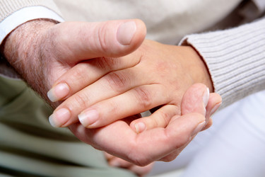 Similar image 333464