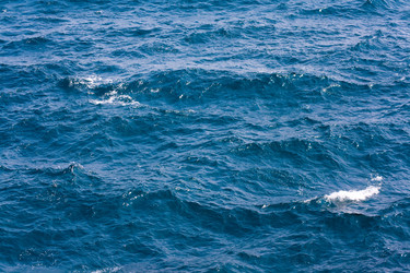 Similar image 333762