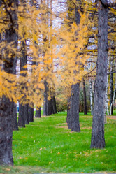 Similar image 333766