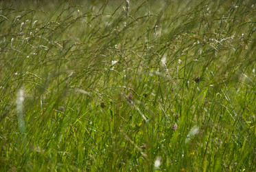 Similar image 333767