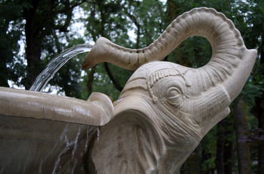 Similar image 333886