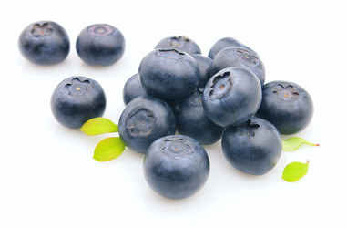 Similar image 334044