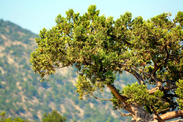 Similar image 334120