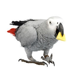 Similar image 334138