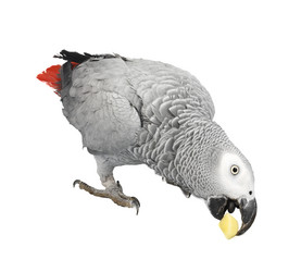 Similar image 334146