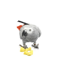 Similar image 334151