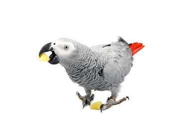 Similar image 334152