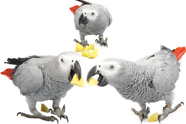 Similar image 334153