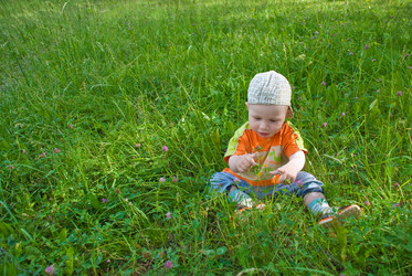 Similar image 334164